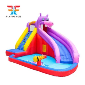 Hippo Water Park